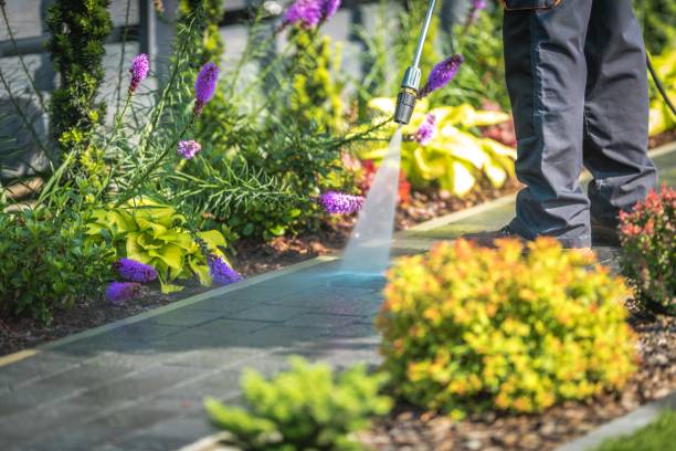 Best Boat and Dock Cleaning  in Pickerington, OH